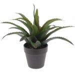 Planta de Babosa Artificial 317002300