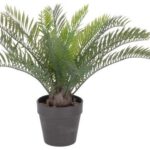 Planta Palmeira Artificial 317002260