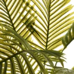 Planta Palmeira Artificial 801089 - Image 2