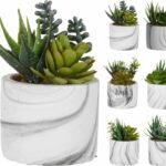 Planta Cato Artificial 321000130