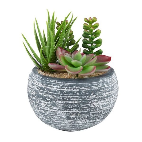 Planta Cato Artificial