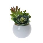 Planta Cato Artificial HZ1915190 - Image 2