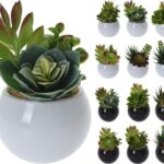 Planta Cato Artificial HZ1915190