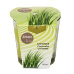 Vela Aromática Citronela 23182