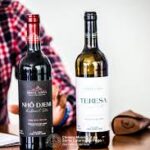 VINHO FOGO MONTE LOSNA 750ML
