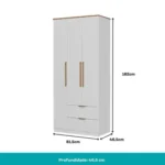 Roupeiro 3 Portas 2G MDP REF 1188 Branco LIN BRA - Image 4